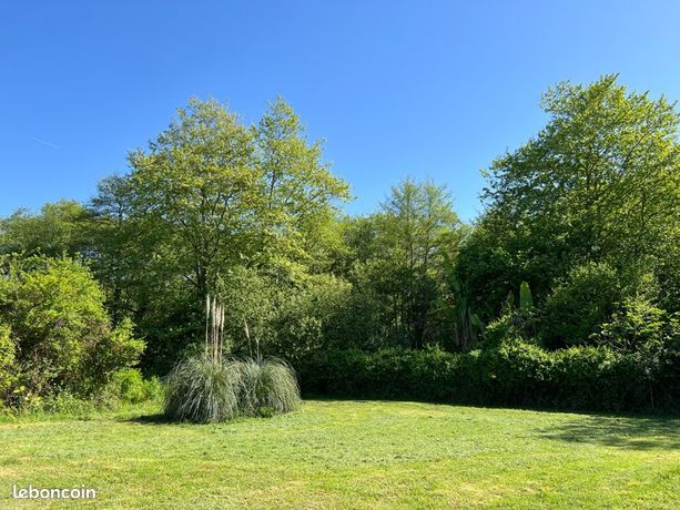 Terrain de 1100 m2, division possible, Forêt en première ligne