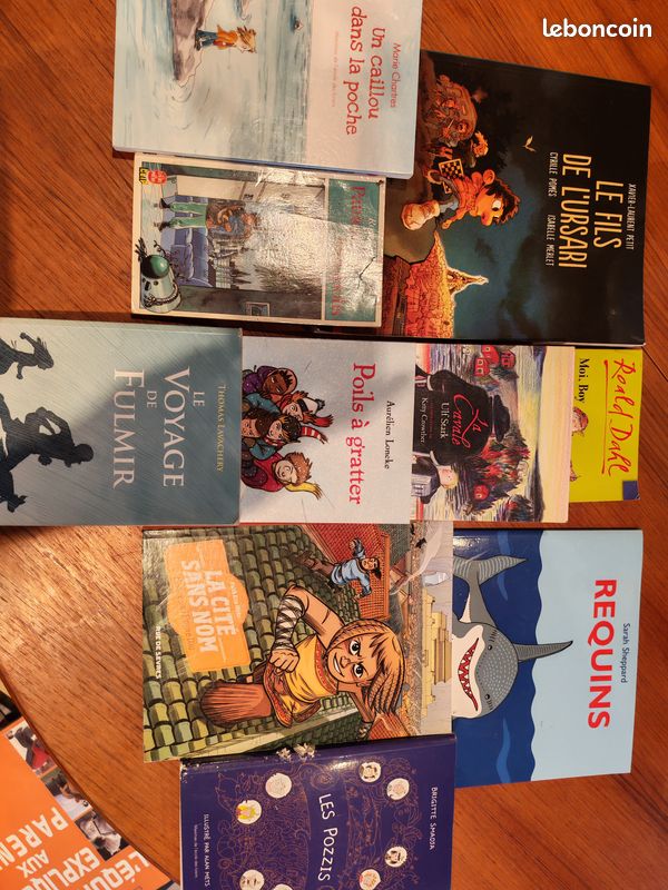 Livres d'occasion (image 6)