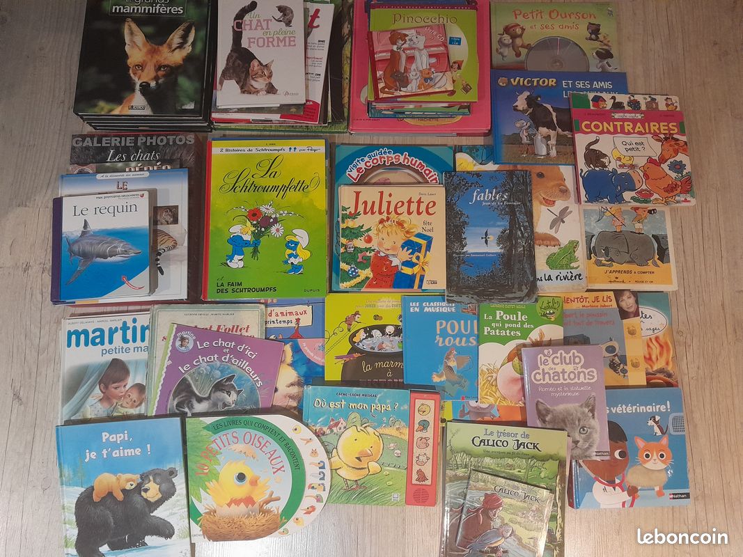 Plusieurs Livres (image 1)