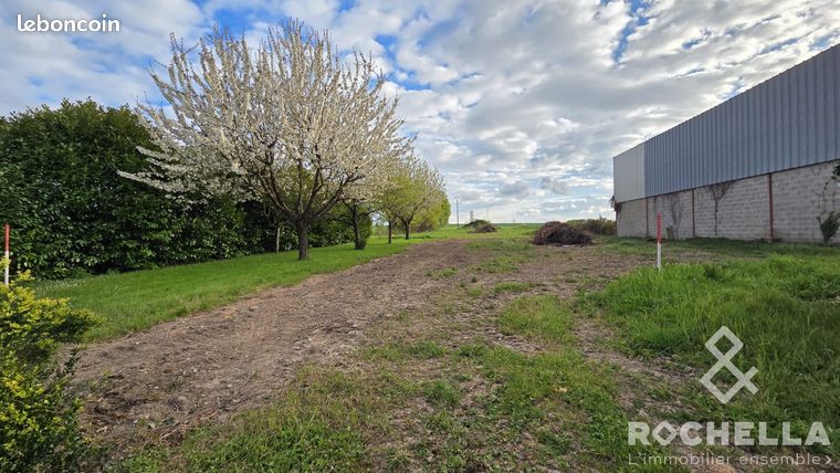 Terrain 1500 m² Paillé