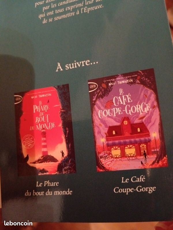 Livre de jeunesse l'hôtel de la dernière chance (image 4)