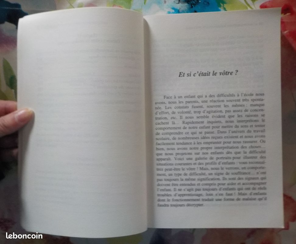 AIDER L'ENFANT EN DIFFICULTE SCOLAIRE par Jeanne SIAUD-FACCHIN Ed. Odile Jacob (image 11)
