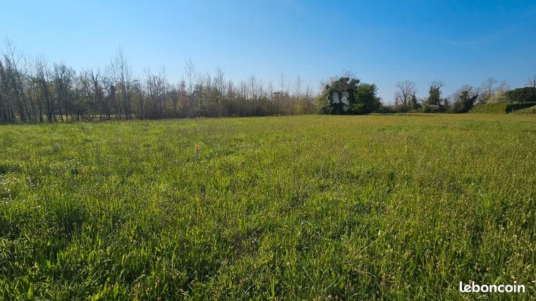 Terrain 1 004 m² Lafox