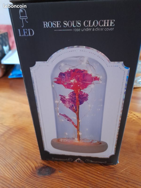 Une rose éternelle sous cloche avec guirlande led (image 1)