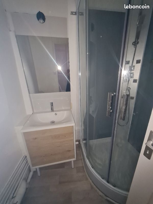 Studio meublé Adrien Dubouche - Limoges 87000 (image principale 2)