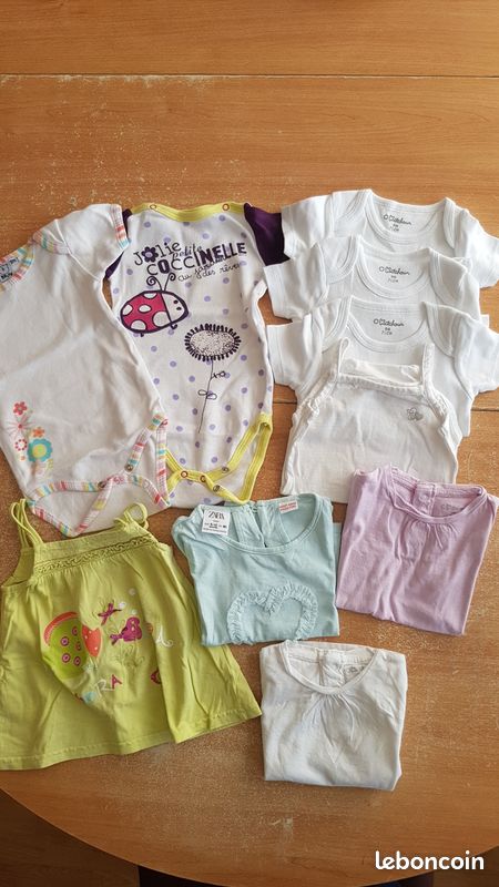 Lot body + tee-shirt 9 mois (image 1)