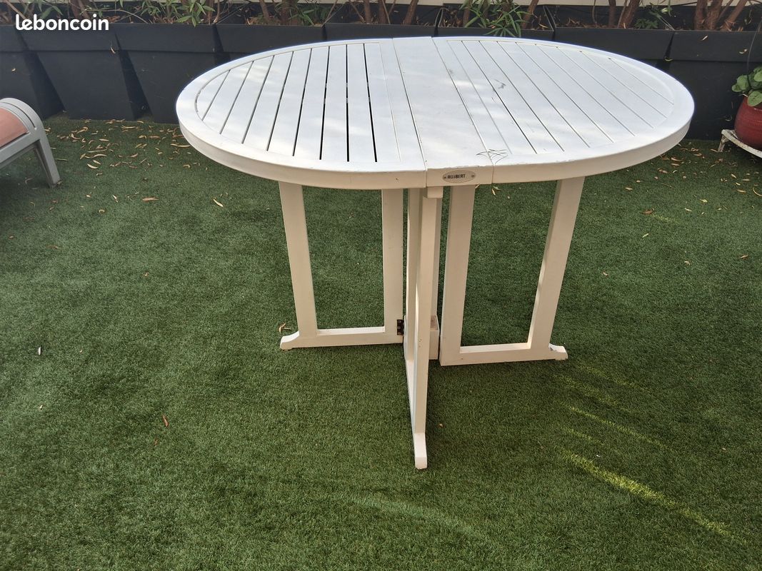 Table de jardin (image 4)