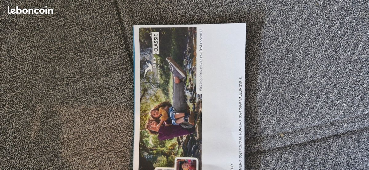 Carnet Chèques-Vacances ANCV Classic – Valeur 250 cédé à 200 (Valables fin 2027) (image 3)