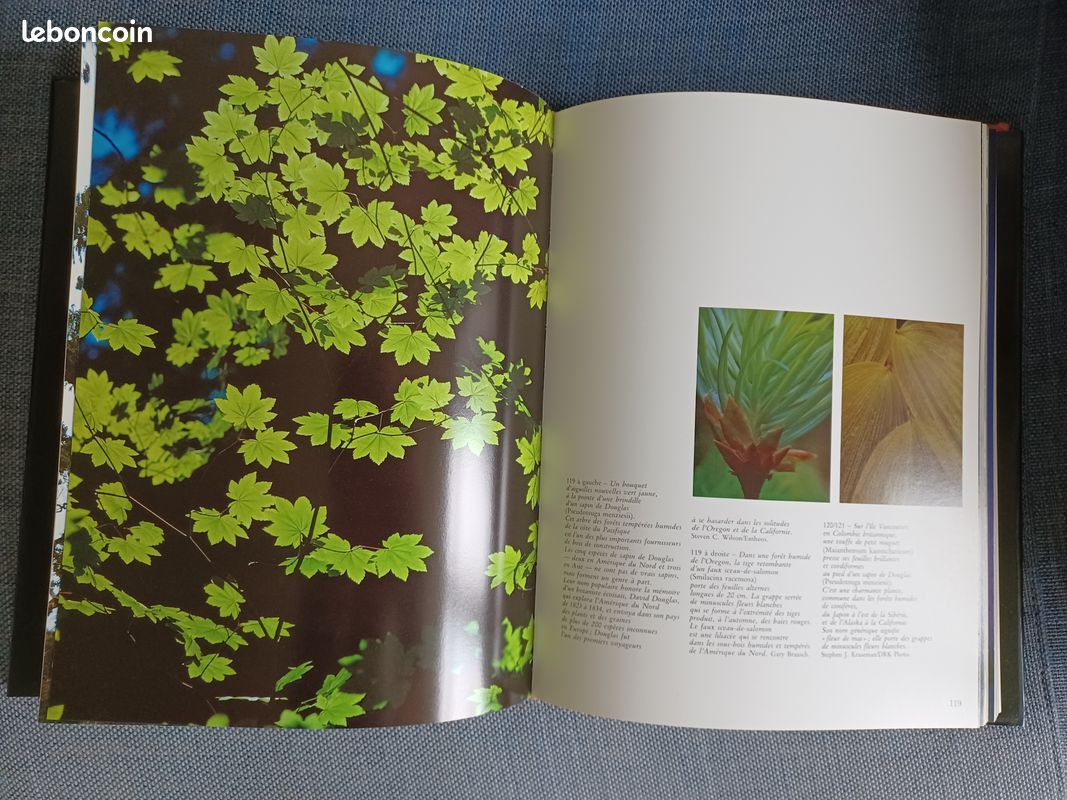 Livre "Le monde des arbres" (nature) (image 3)