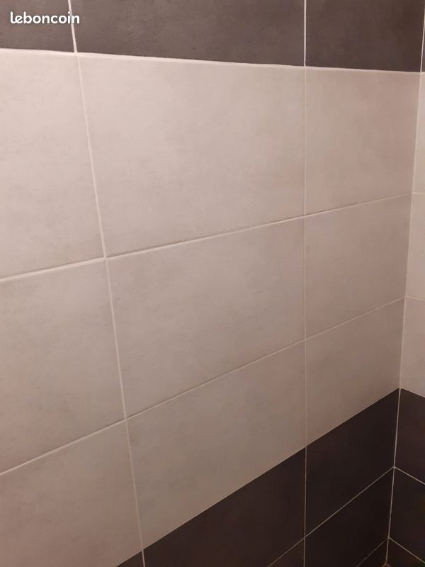 Faïences de salle de bain (image 3)