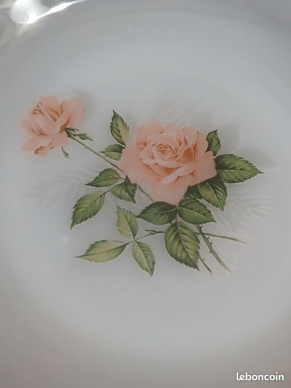 Lot88 : 6 Petites Assiettes Plates Vintage Arcopal France D 19,7 Cm Décor Floral - Vendu