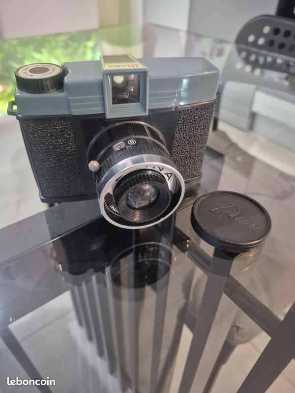 Diana type 151 lomography (image 2)