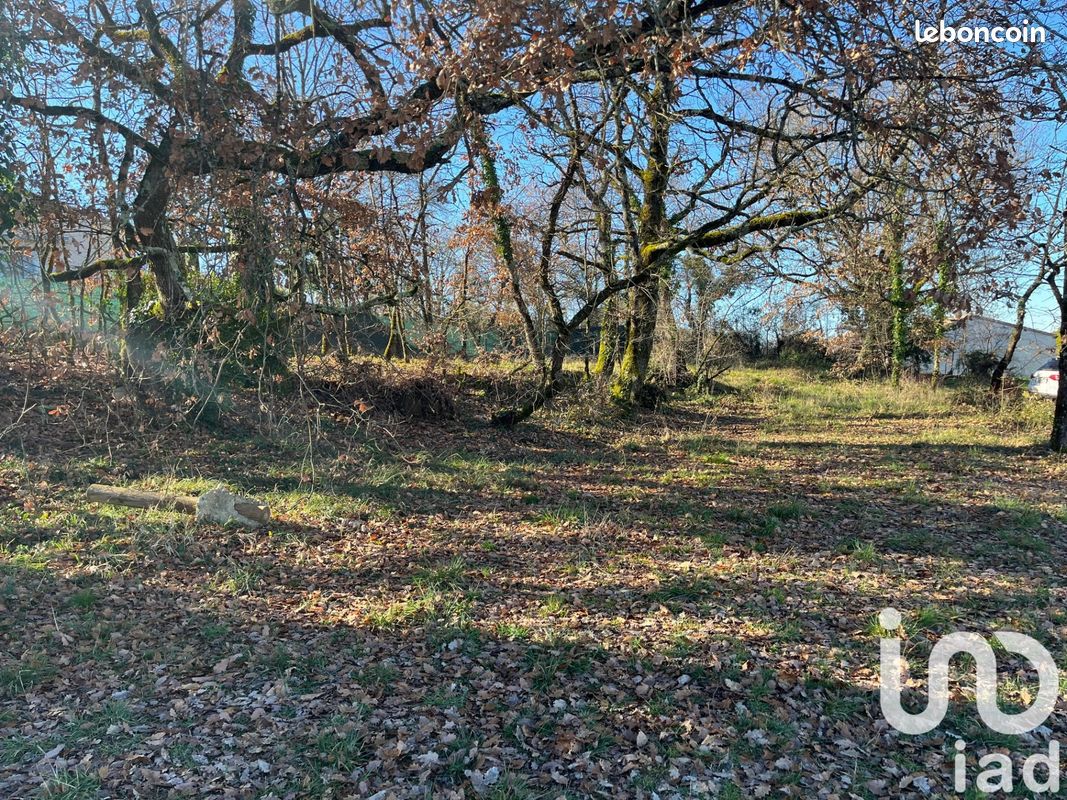 Terrain 913 m² Lectoure (image 6)