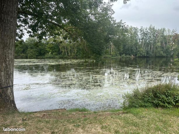 Terrain 1269 m² CHAUVIGNY