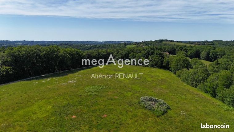 Terrain 24541 m² SAINT-LEON-SUR-VEZERE