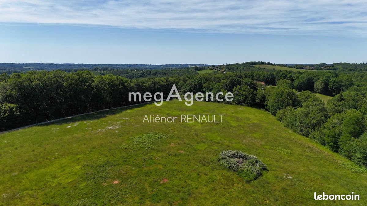 Terrain 24541 m² SAINT-LEON-SUR-VEZERE (image 1)