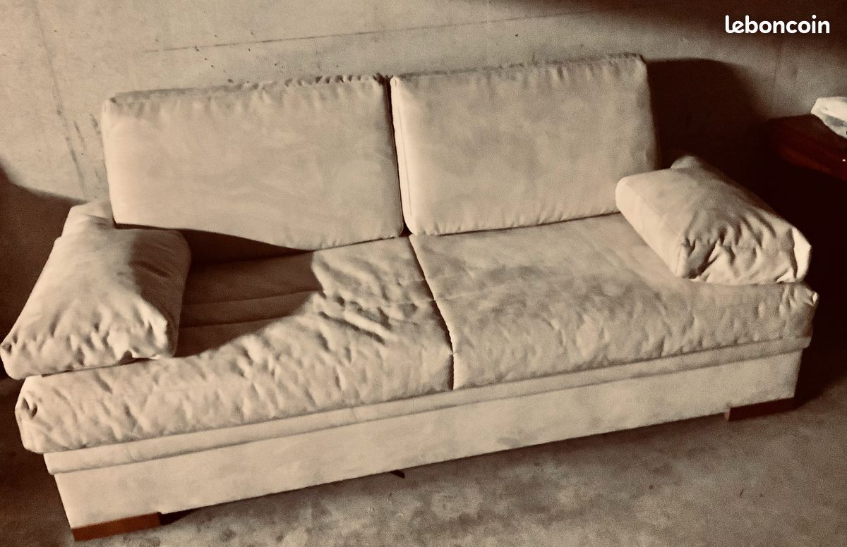 Sofa en peau (image 1)