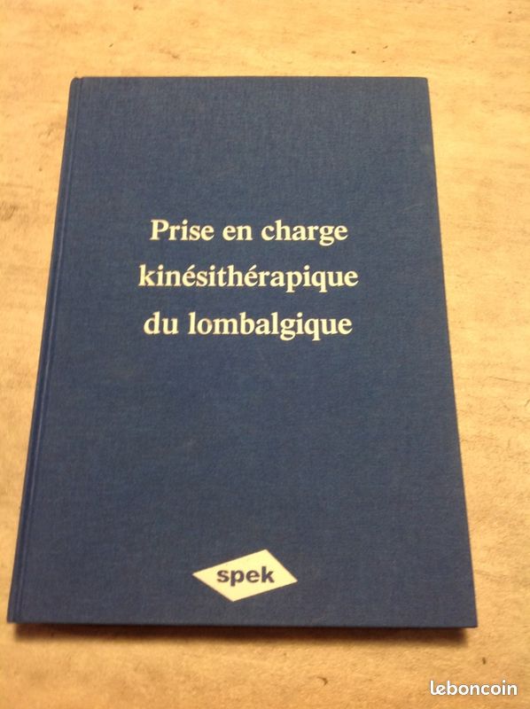 Prise en charge kiné du lombalgique-SPEK 2000 (image 1)