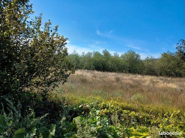 Terrain 687 m² Millas