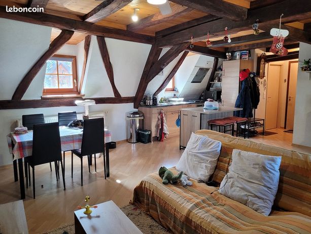 Appartement T3 de 59m2 (loi Carrez) à louer en plein cœur d’Altkirch