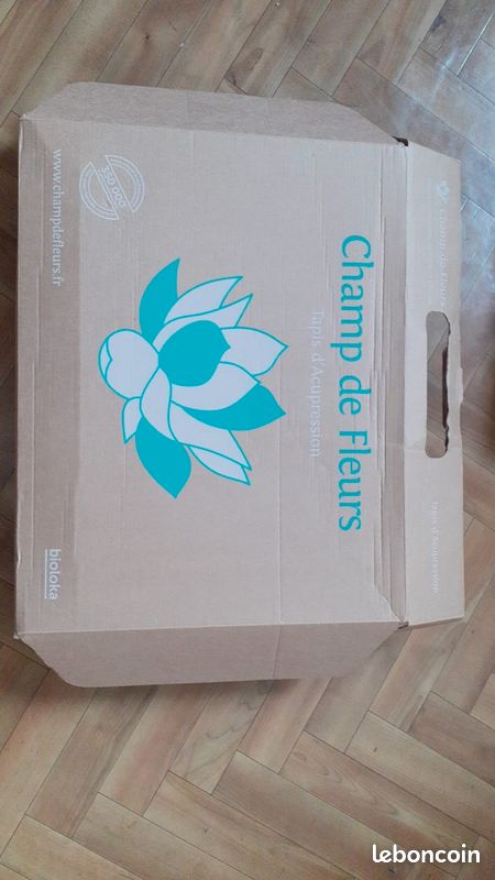 Tapis champ de fleurs (image 4)