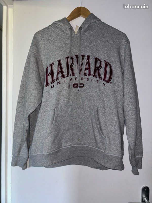 Pink H&m Sweatshirt Motiv Sweat à Capuche/ Pull Gris Femme