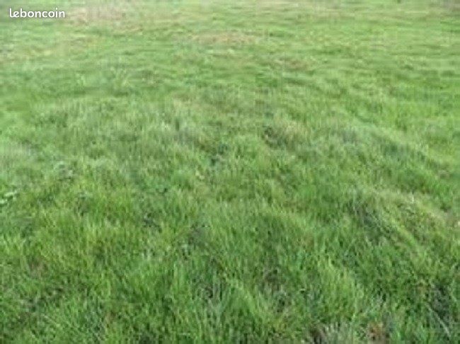 Terrain 540 m² Vaux Le Penil · à Vaux-le-Pénil · 164 000 €