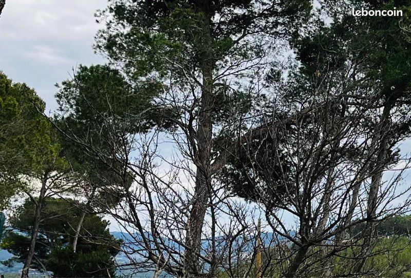 Maison 3 pièces 70 m² · à Le Castellet · 70 m² · 29 500 €