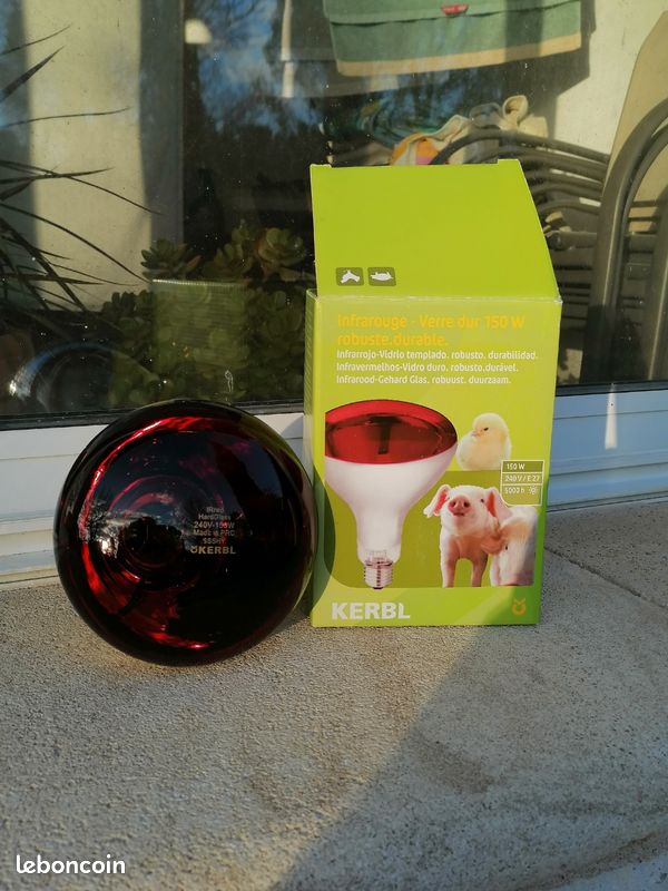 Lampe Chauffante Inarouge Pour Volaille 250W, Ampoules épaisses Antidéflagrantes Et étanches ​ Lampe Chauffante E27 Pour Porcelet, Poulet, Canard, Oiseaux