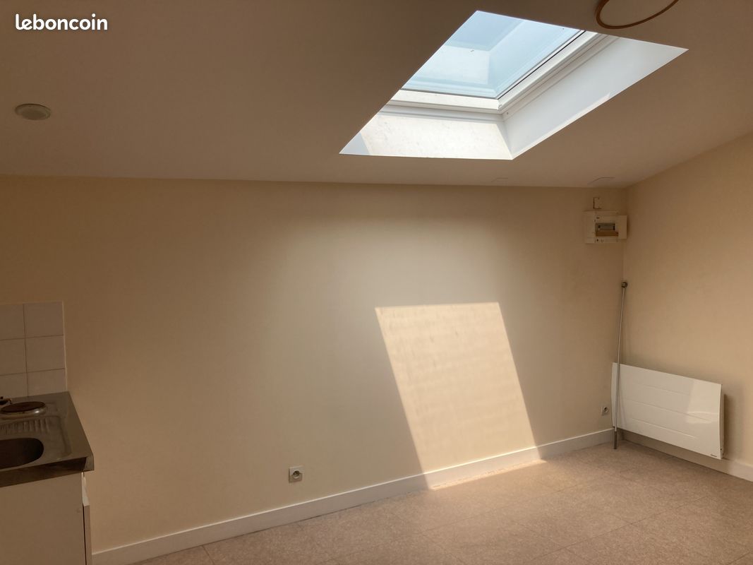 Appartement 1 pièce 19 m² · à Ancenis-Saint-Géréon · 19 m² · 360 €/mois