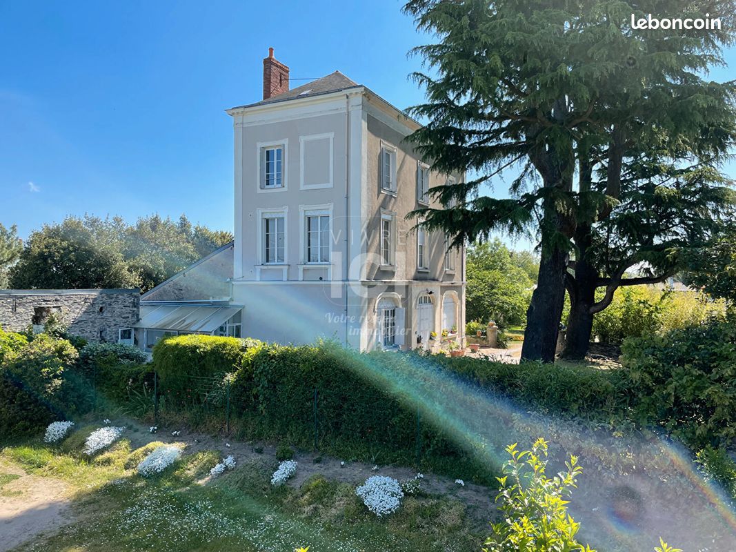 Appartement 1 pièce 11 m² · à Sainte-Gemmes-sur-Loire · 11 m² · 350 €