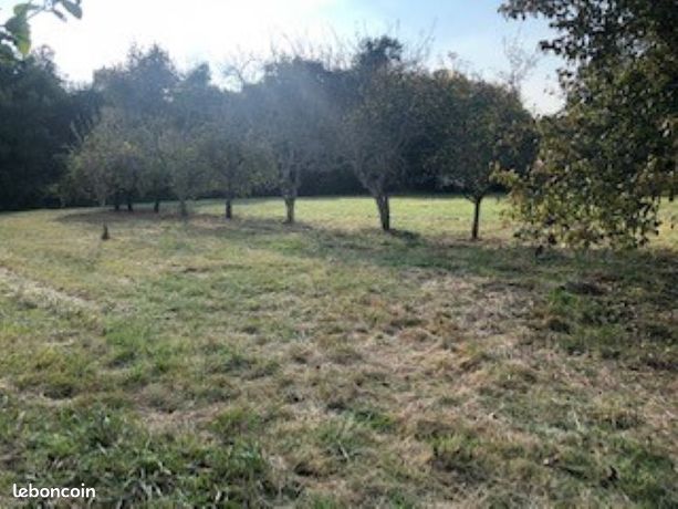 Terrain 1 290 m² Antonne Et Trigonant