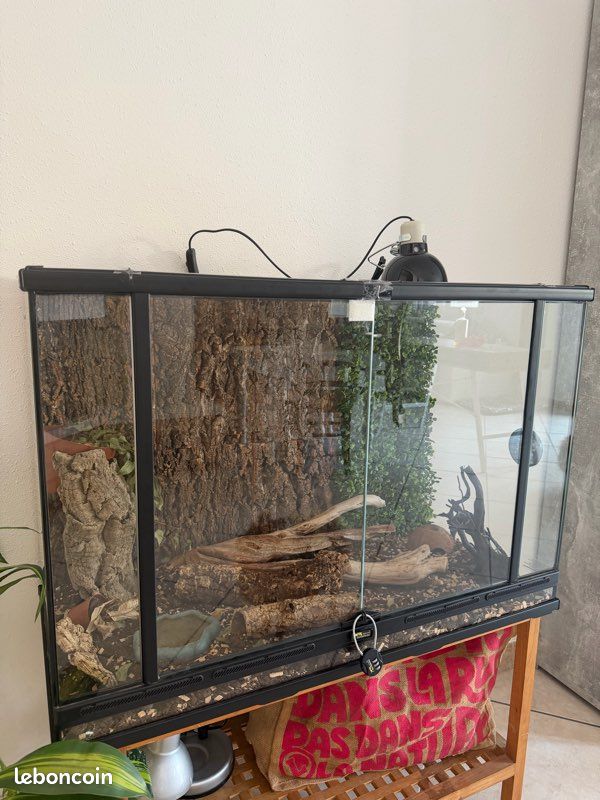 Grand terrarium complet complet (image 1)
