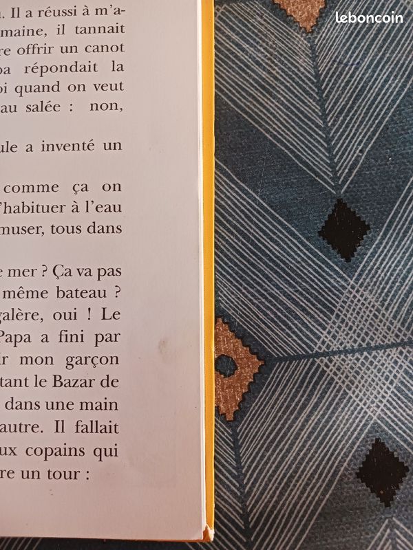 Boule et Bill Vive les vacances (image 4)