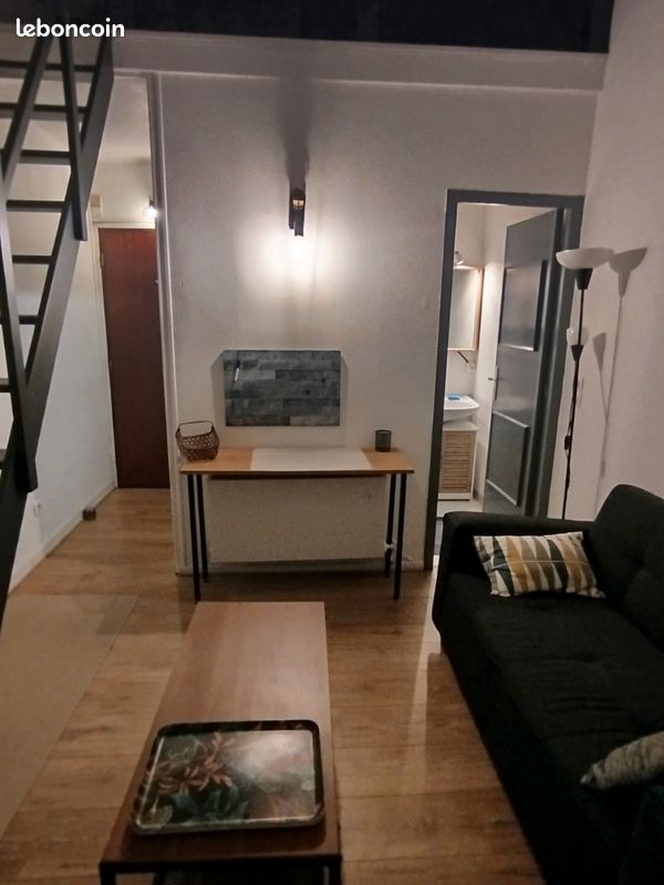 Appartement 1 pièce 21 m² · à Toulouse · 21 m² · 480 €