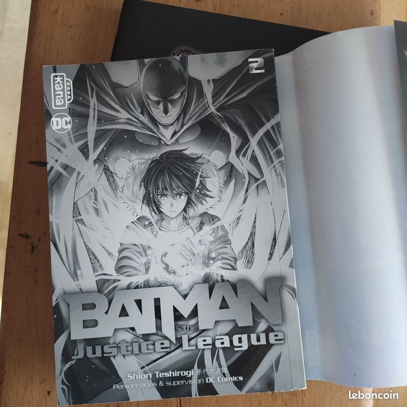 Batman and the justice league (image 5)