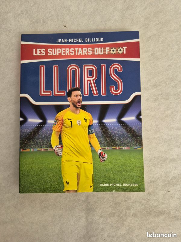 Les super stars du foot Hugo Lloris (image 1)