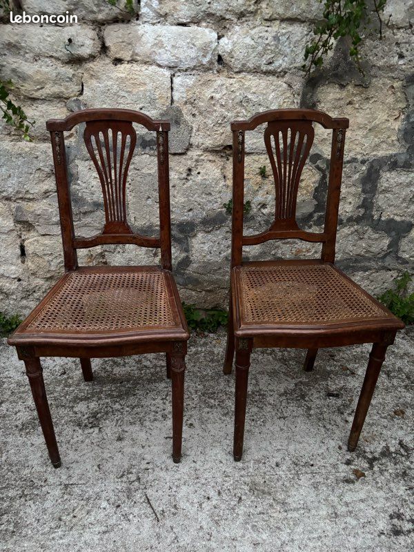Paire de chaises montgolfière style empire (image 1)