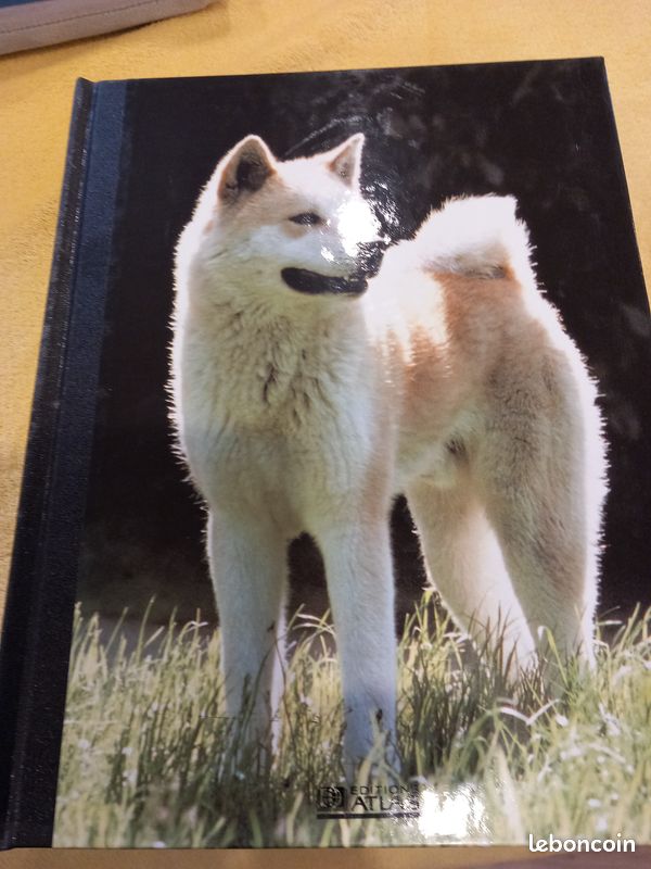 Mon compagnon le chien (image 5)