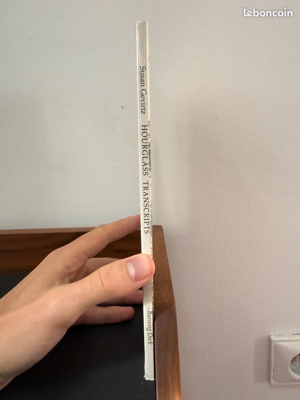 Susan Gevirtz, Hourglass Transcripts (2001) (image 4)