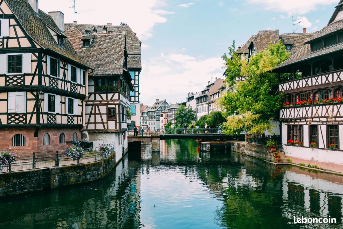 Appartement a louer strasbourg - 2 pièce(s) - 45 m2 - Surfyn