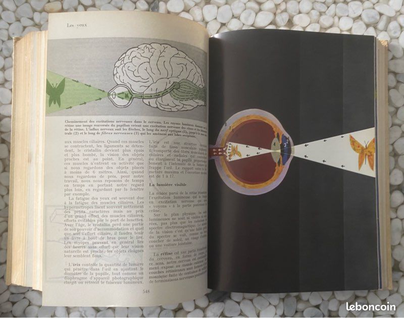 Guide Médical de la Famille, D.G Cooley, 1973 (image 7)