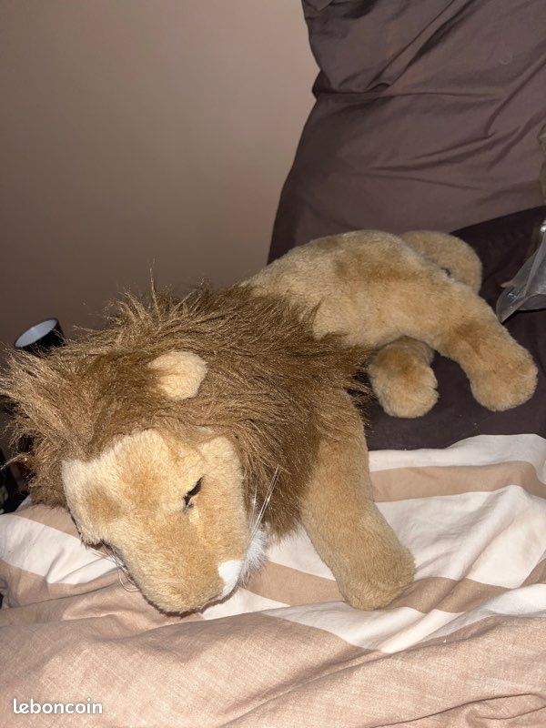 Lion roi be savane safari (image 1)