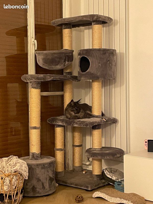 Arbre à chat XL (image 1)