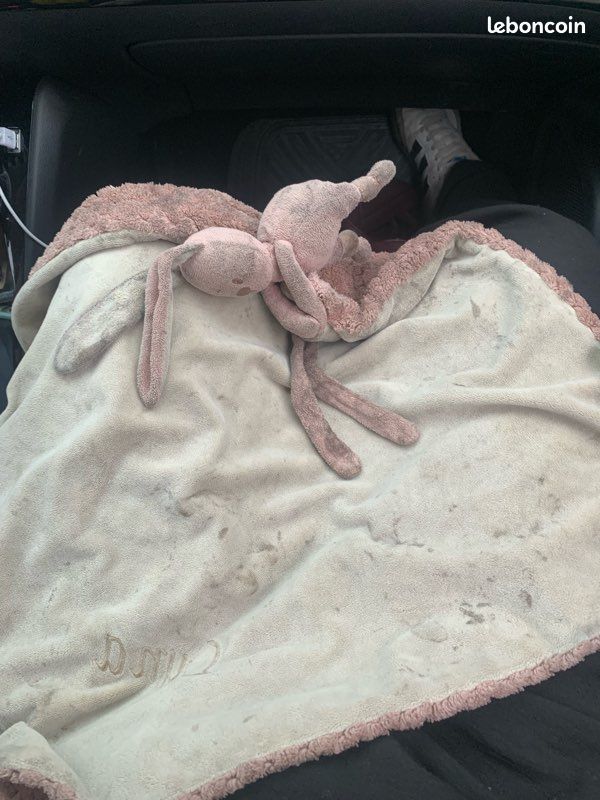 Doudou trouvé (image 1)