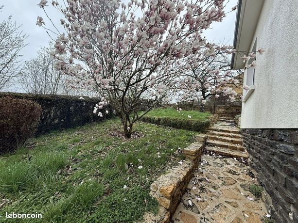 Maison à vendre et vente appartement Mouzon (08210) - leboncoin