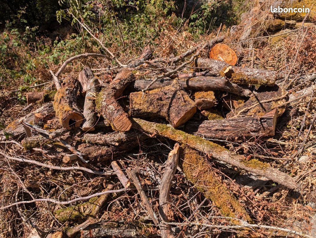 Bois sec a fendre (image 1)