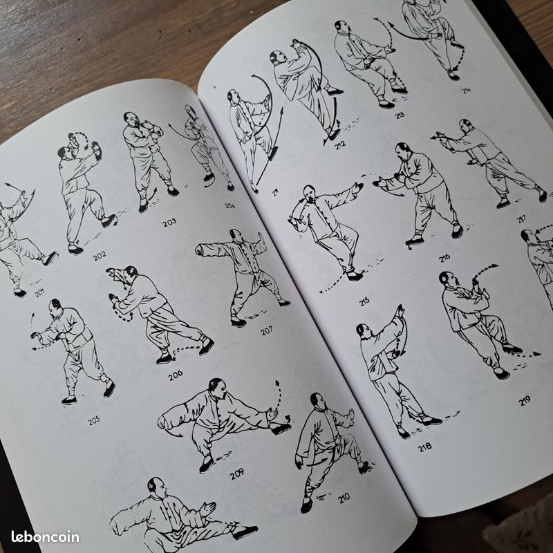 Taiji Quan. L'Enseignement De Li Guanghua, La Tradition De L'Ecole Yang : Gortais, Jean