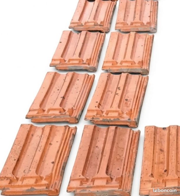 Tuile gilardoni frere bois du roi (image 2)