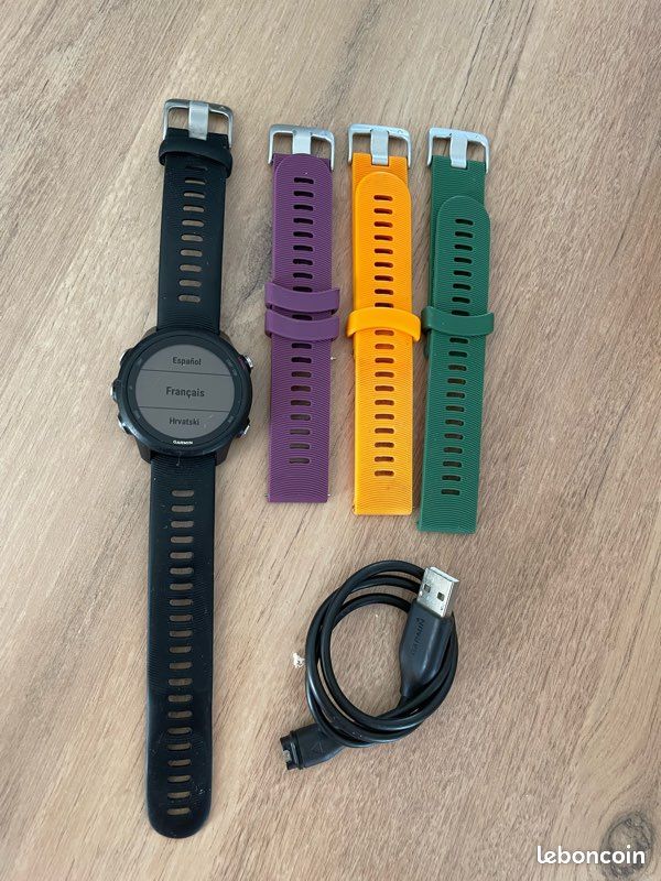 Montre connectée Garmin Forerunner 245 (image 1)